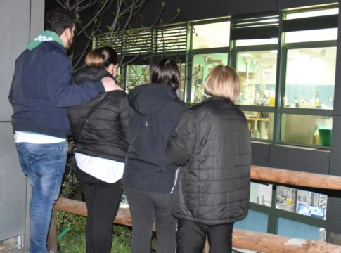notte-covid-1 notte-covid-1