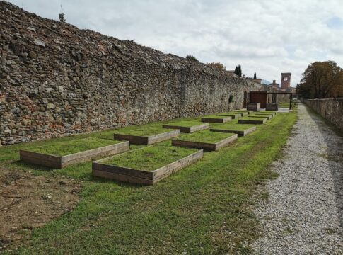 orti-sociali-2 orti-sociali-2
