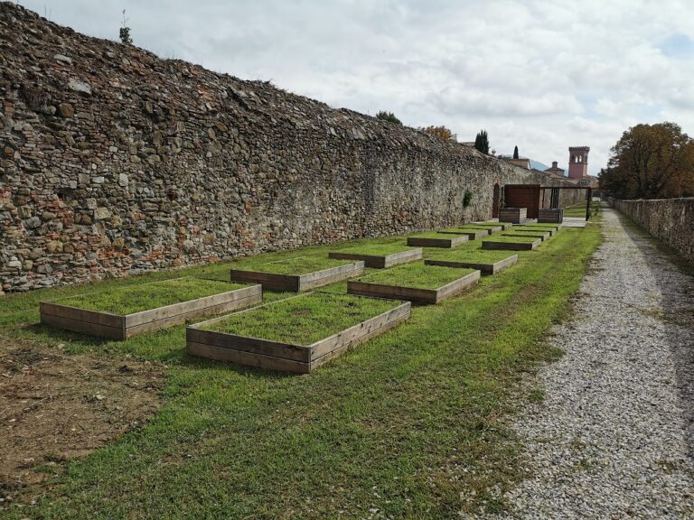 orti-sociali-2