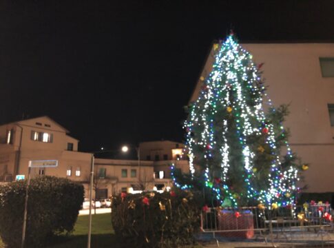 prato-4