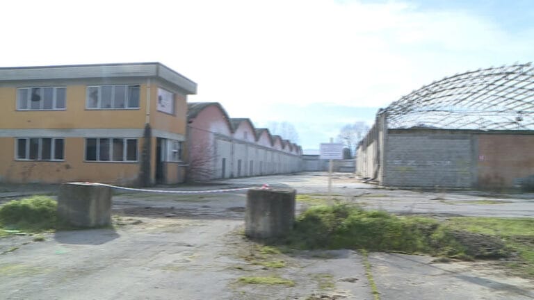 repertorio-ex-fungaia-gricignano