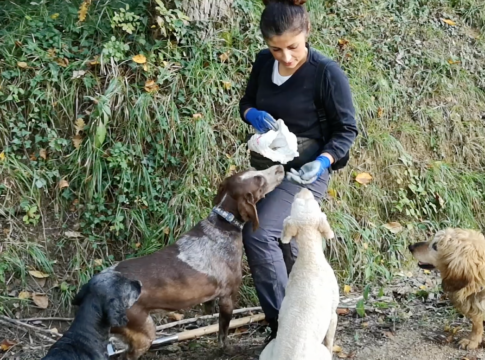 schermata-2019-09-30-alle-173824 schermata-2019-09-30-alle-173824