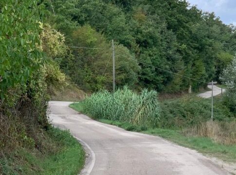 strada-del-sasseto strada-del-sasseto