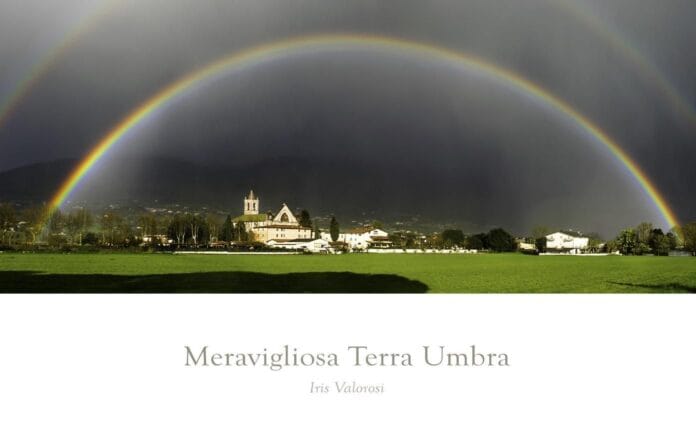 terra4