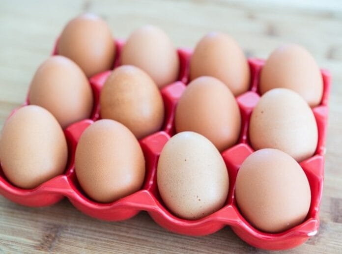 uova-fipronil
