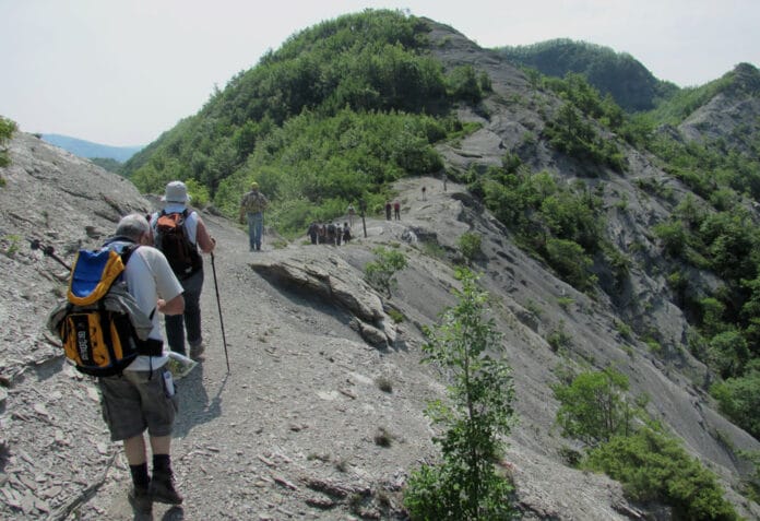 via-romea-passo-serra-pnfc