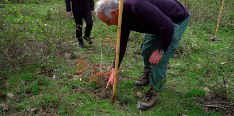 Adotta una pianta - Progetto Valtiberina