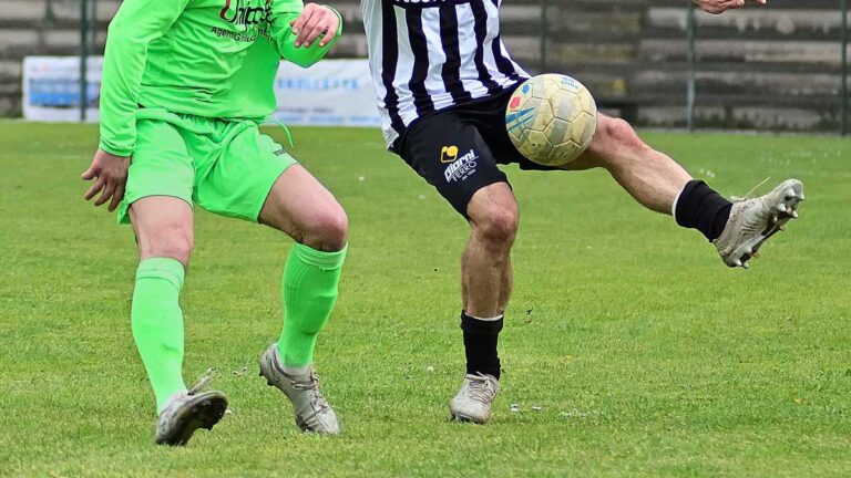 calcio modo