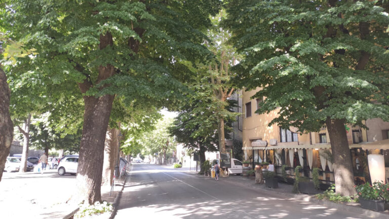 Viale Vittorio Veneto a Sansepolcro