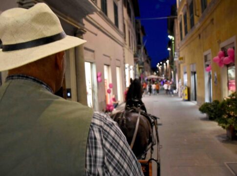 Notte Fucsia