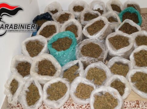 La marijuana confezionata