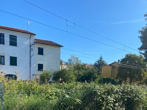 Erba incolta stazione ex Fcu 3 erba incolta 3