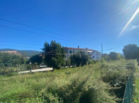 Erba incolta stazione ex Fcu 4 erba incolta 2