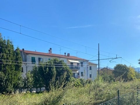 Erba incolta stazione ex Fcu 5 erba incolta