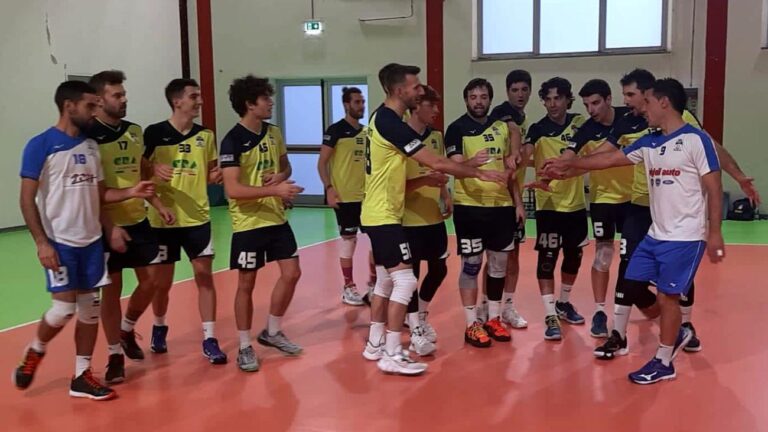 Delfino New Volley