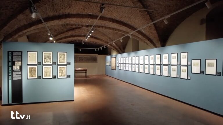 Mostra Raffaello Schiaminossi