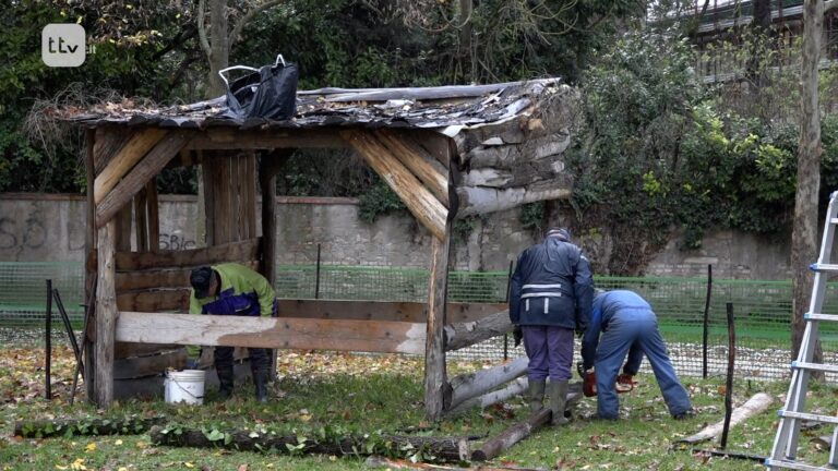 Presepe vivente Gricignano