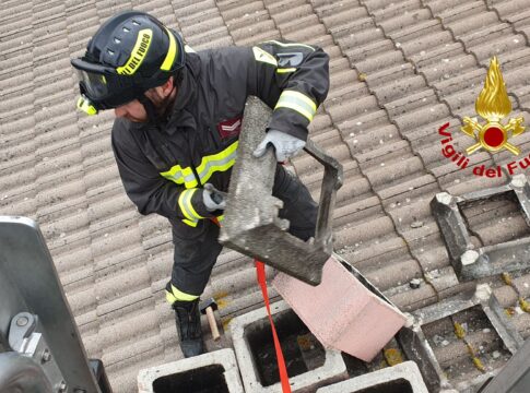 WhatsApp Image 2023-03-11 at 13 Vigili del Fuoco a Pierantonio