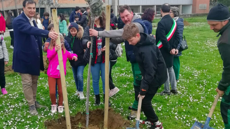 "Festa degli alberi" a Sansepolcro