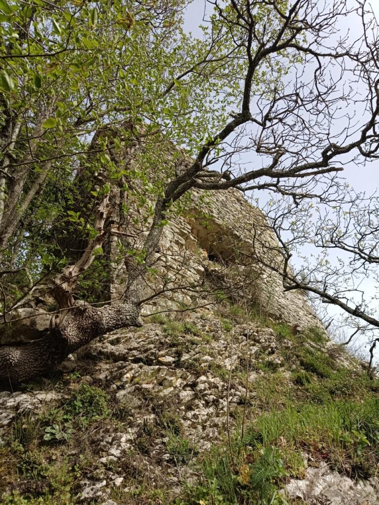 Esterno dell’antica torre