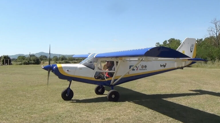fly therapy