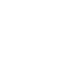logo-Festival-Cammini-rosone_white