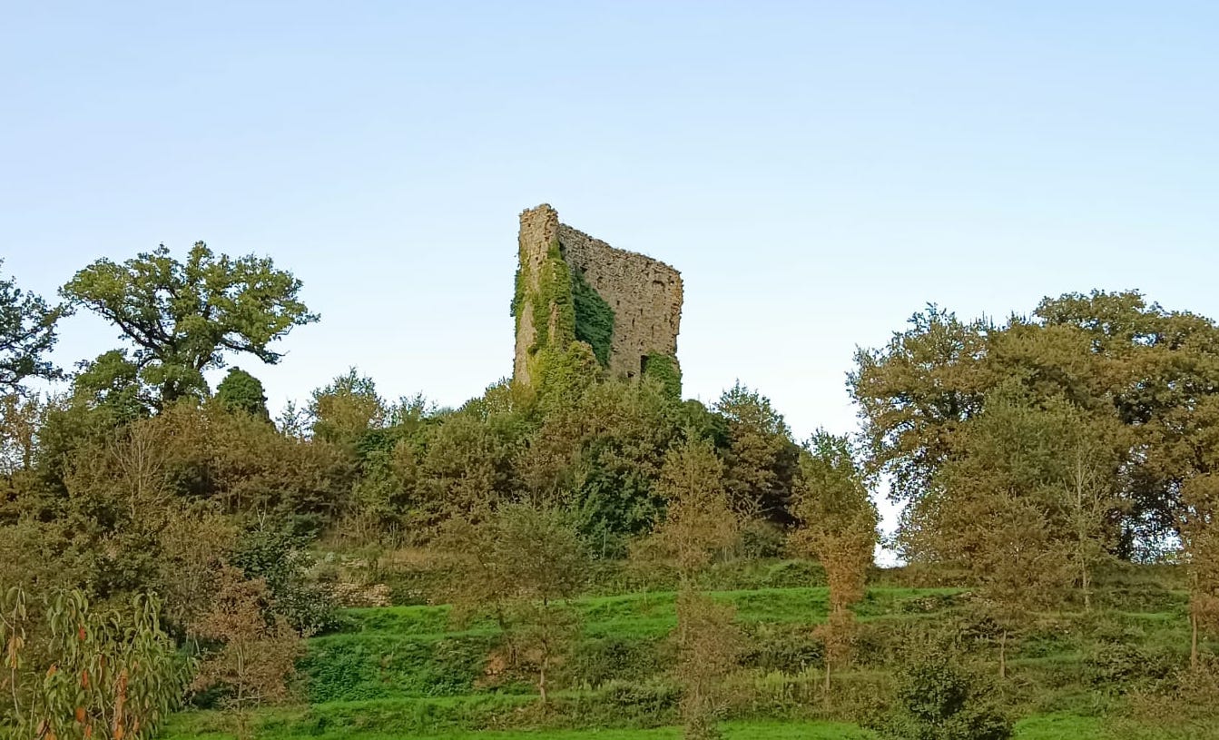 Resti del Castello di Ranco