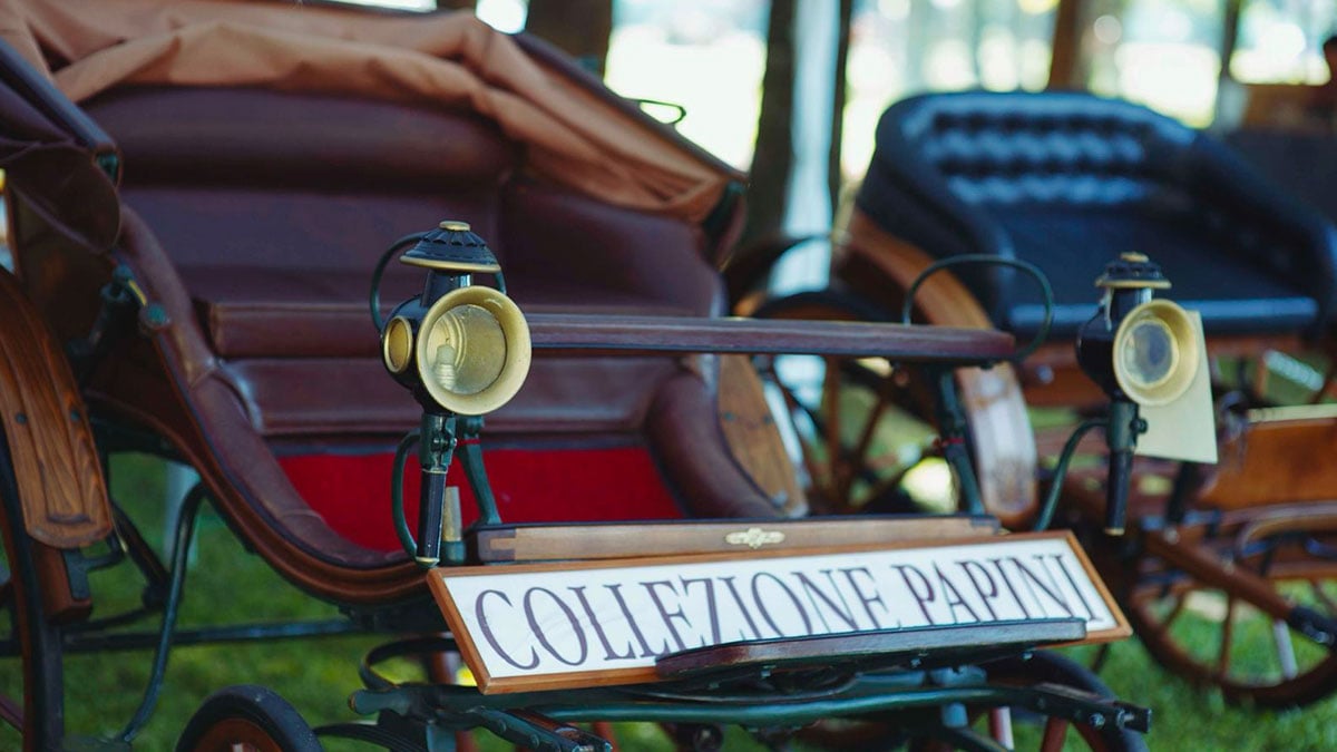 La tradizione equestre di Città di Castello alla 55ª Mostra del Cavallo 2 La tradizione equestre di Città di Castello alla 55ª Mostra del Cavallo - Eventi | TTV.it