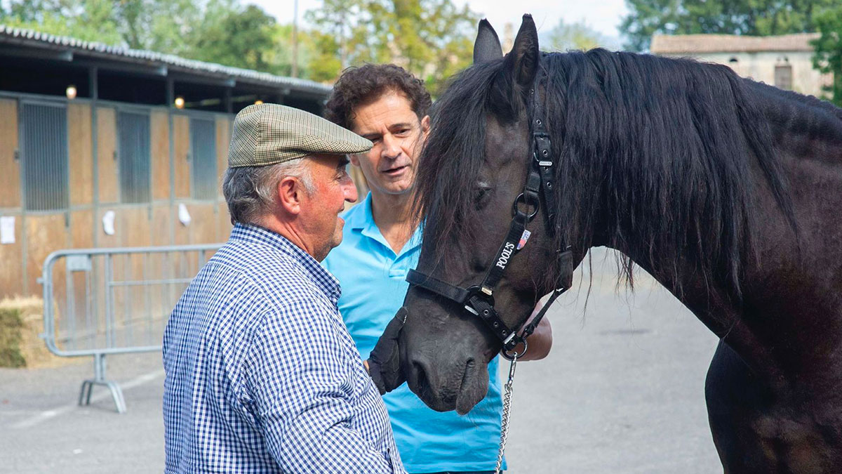 La tradizione equestre di Città di Castello alla 55ª Mostra del Cavallo 3 La tradizione equestre di Città di Castello alla 55ª Mostra del Cavallo - Eventi | TTV.it