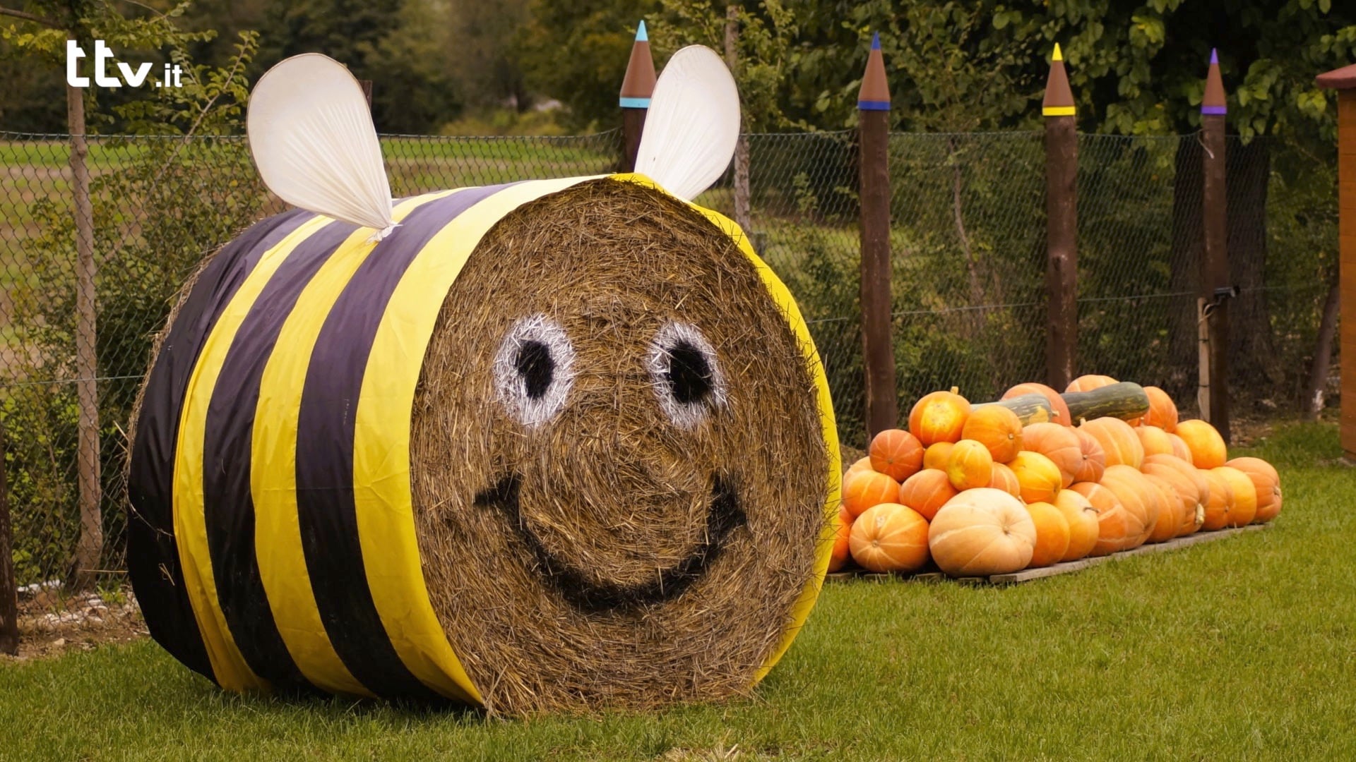 Le mille e una zucca: torna il villaggio arancione a Città di Castello 1 Le mille e una zucca: torna il villaggio arancione a Città di Castello - Attualità | TTV.it