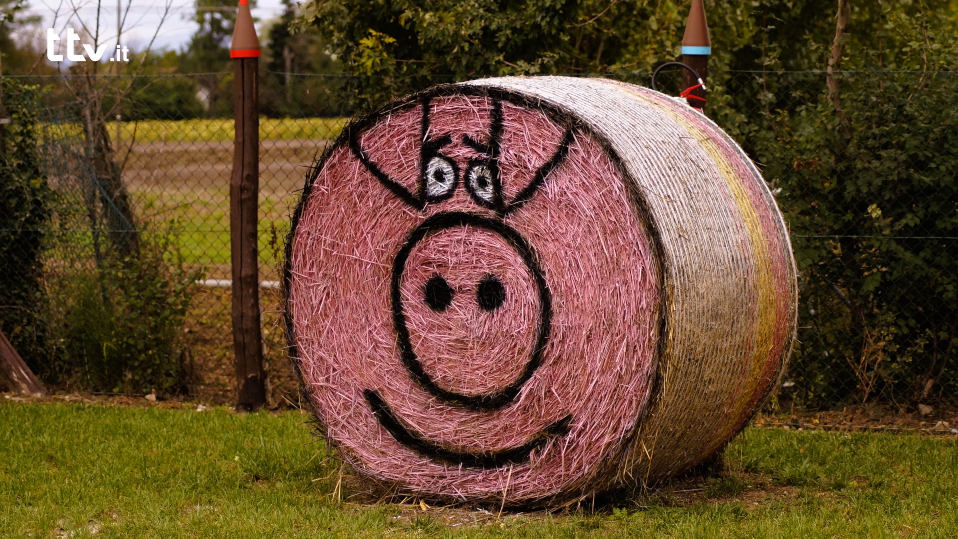 Le mille e una zucca: torna il villaggio arancione a Città di Castello 5 Le mille e una zucca: torna il villaggio arancione a Città di Castello - Attualità | TTV.it