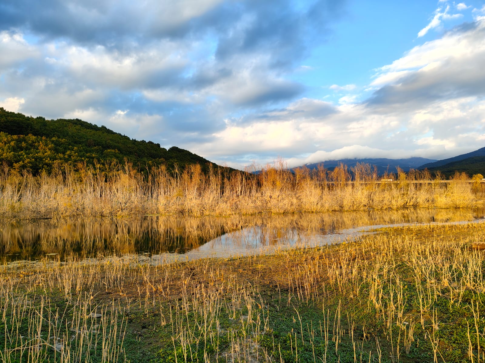 Montedoglio, con il dislivello estivo acqua ritirata anche di 500 metri 2 Montedoglio, con il dislivello estivo acqua ritirata anche di 500 metri - Montedoglio, Ambiente | TTV.it