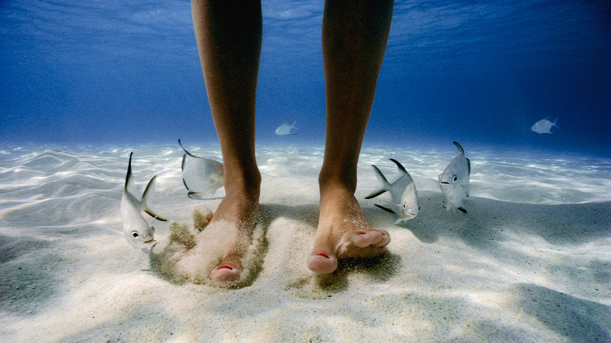 A Firenze l’inedita mostra “Oceani” con National Geographic - Eventi | TTV.it