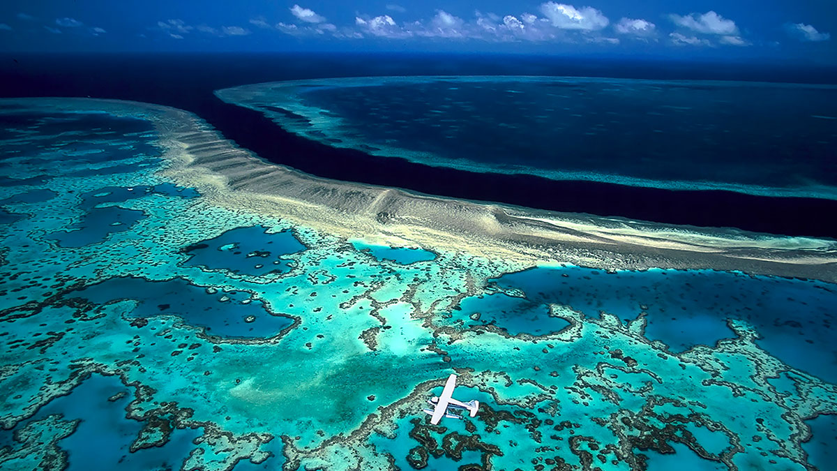 A Firenze l’inedita mostra “Oceani” con National Geographic - Eventi | TTV.it