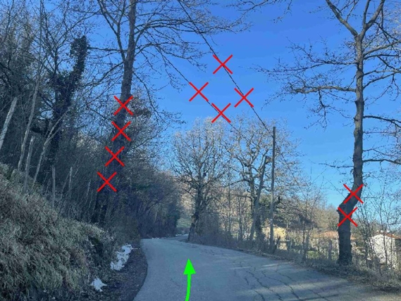 Parco eolico “Badia del Vento”: per il trasporto delle pale previsti 159 interventi sulla viabilità 16 Parco eolico “Badia del Vento”: per il trasporto delle pale previsti 159 interventi sulla viabilità - Ambiente, Attualità, Infrastrutture | TTV.it