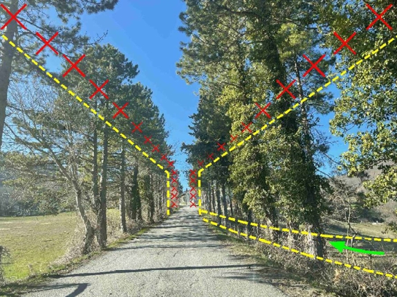 Parco eolico “Badia del Vento”: per il trasporto delle pale previsti 159 interventi sulla viabilità 22 Parco eolico “Badia del Vento”: per il trasporto delle pale previsti 159 interventi sulla viabilità - Ambiente, Attualità, Infrastrutture | TTV.it