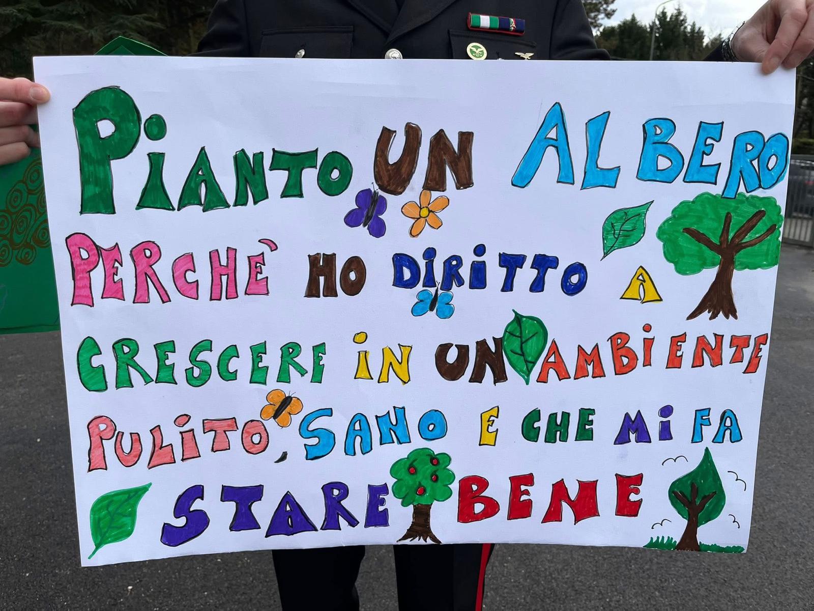 Festa degli Alberi: studenti e comunità celebrano la natura con piantumazioni e iniziative educative - Ambiente | TTV.it