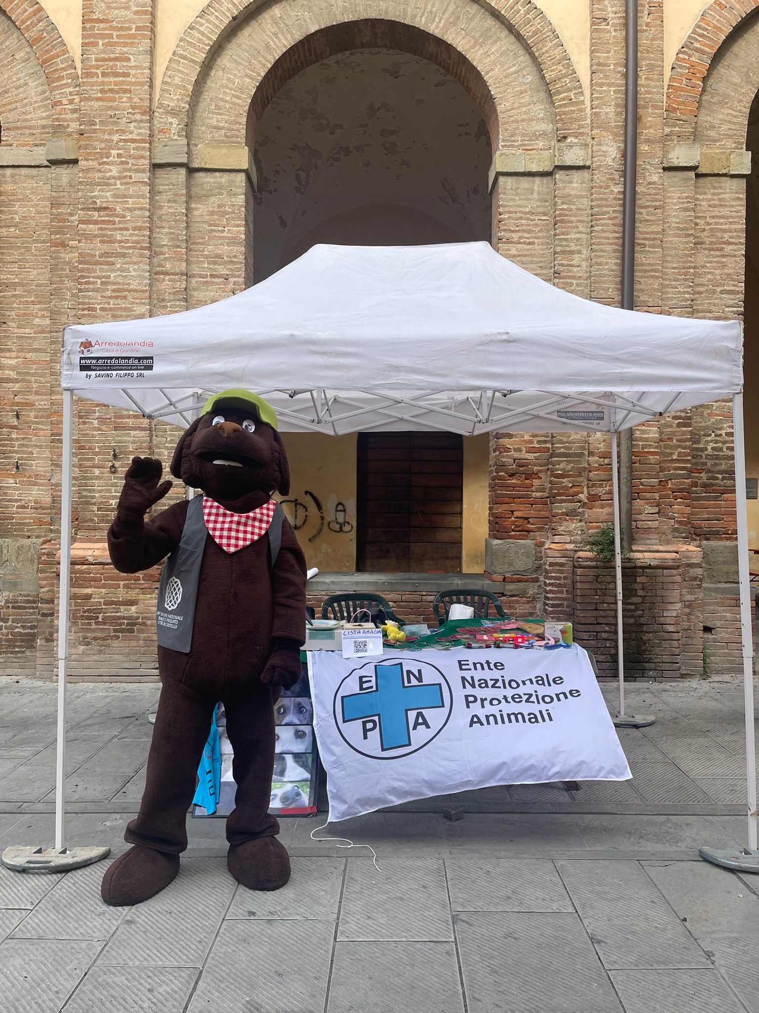 Una festa per gli alberi, una casa per gli animali: le iniziative del Canile di Lerchi 2 Una festa per gli alberi, una casa per gli animali: le iniziative del Canile di Lerchi - Attualità | TTV.it