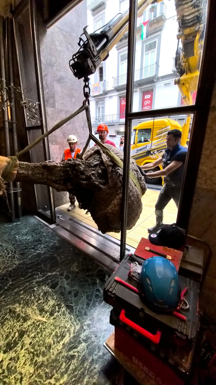 A Napoli l’inaugurazione di “Natura Naturans”, dalla Valtiberina una grande opera per le Gallerie d’Italia 13 A Napoli l’inaugurazione di “Natura Naturans”, dalla Valtiberina una grande opera per le Gallerie d’Italia - Attualità | TTV.it