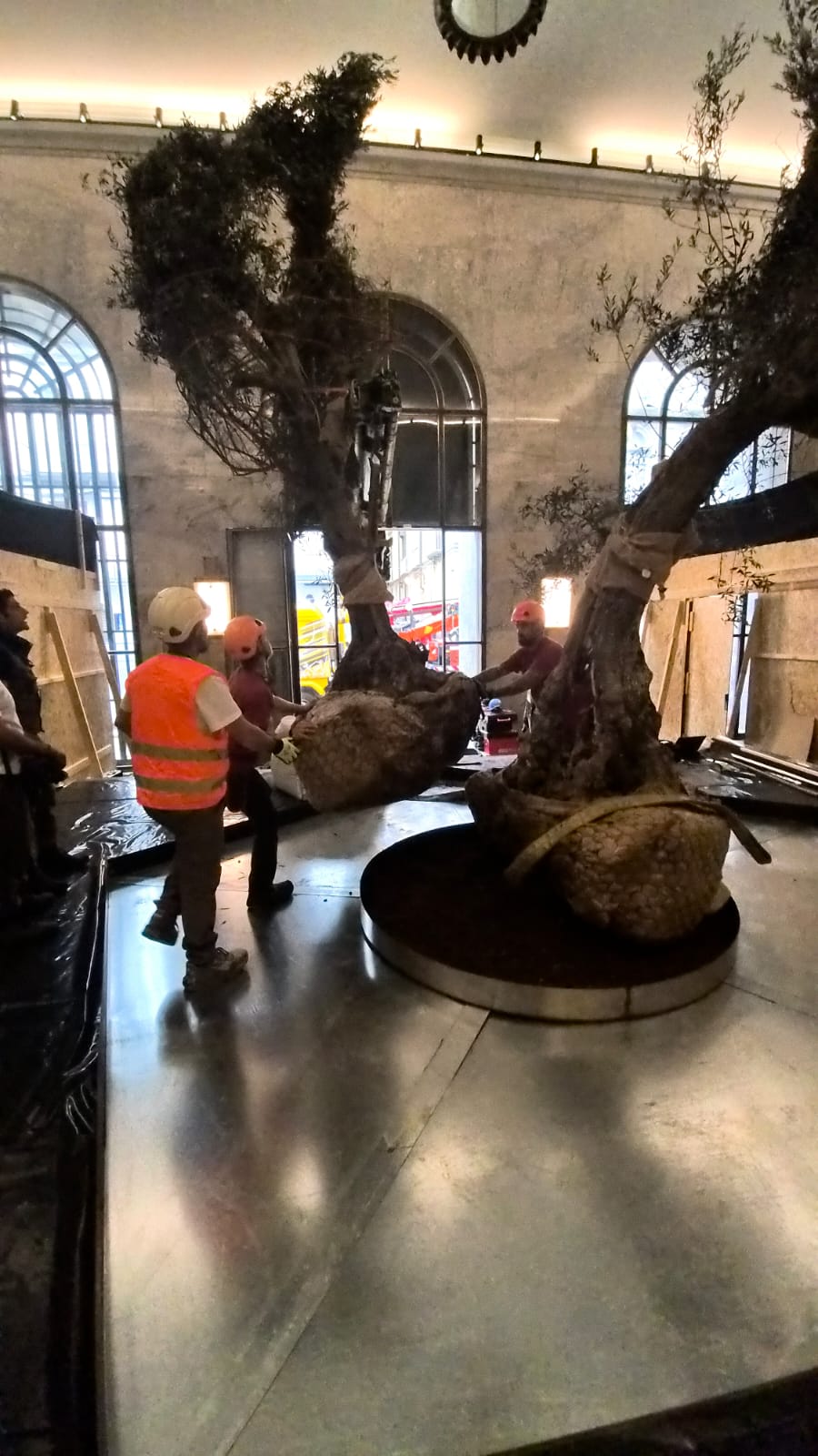 A Napoli l’inaugurazione di “Natura Naturans”, dalla Valtiberina una grande opera per le Gallerie d’Italia 14 A Napoli l’inaugurazione di “Natura Naturans”, dalla Valtiberina una grande opera per le Gallerie d’Italia - Attualità | TTV.it