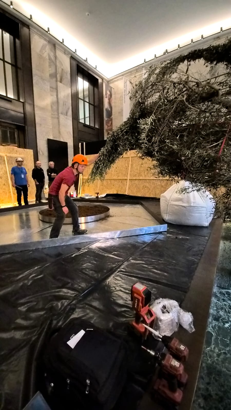 A Napoli l’inaugurazione di “Natura Naturans”, dalla Valtiberina una grande opera per le Gallerie d’Italia 12 A Napoli l’inaugurazione di “Natura Naturans”, dalla Valtiberina una grande opera per le Gallerie d’Italia - Attualità | TTV.it