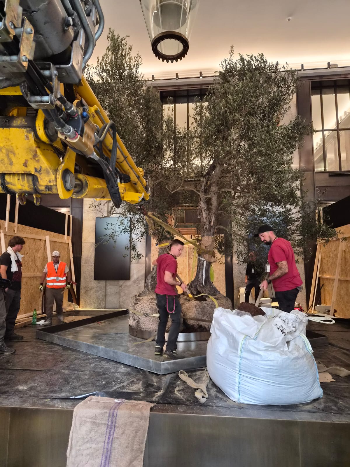 A Napoli l’inaugurazione di “Natura Naturans”, dalla Valtiberina una grande opera per le Gallerie d’Italia 15 A Napoli l’inaugurazione di “Natura Naturans”, dalla Valtiberina una grande opera per le Gallerie d’Italia - Attualità | TTV.it