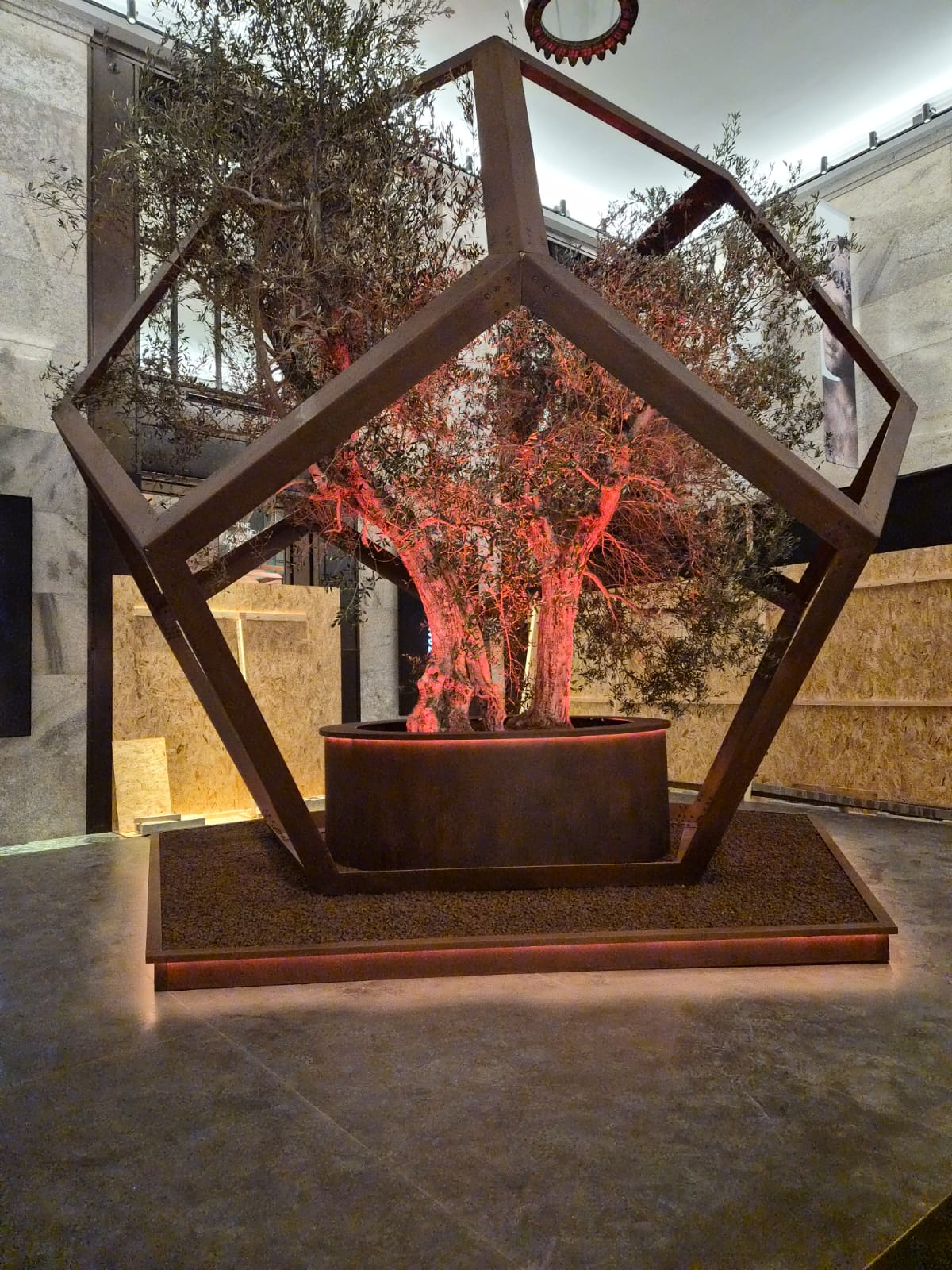 A Napoli l’inaugurazione di “Natura Naturans”, dalla Valtiberina una grande opera per le Gallerie d’Italia 5 A Napoli l’inaugurazione di “Natura Naturans”, dalla Valtiberina una grande opera per le Gallerie d’Italia - Attualità | TTV.it