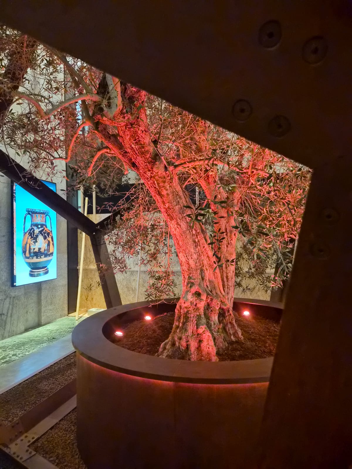 A Napoli l’inaugurazione di “Natura Naturans”, dalla Valtiberina una grande opera per le Gallerie d’Italia 4 A Napoli l’inaugurazione di “Natura Naturans”, dalla Valtiberina una grande opera per le Gallerie d’Italia - Attualità | TTV.it