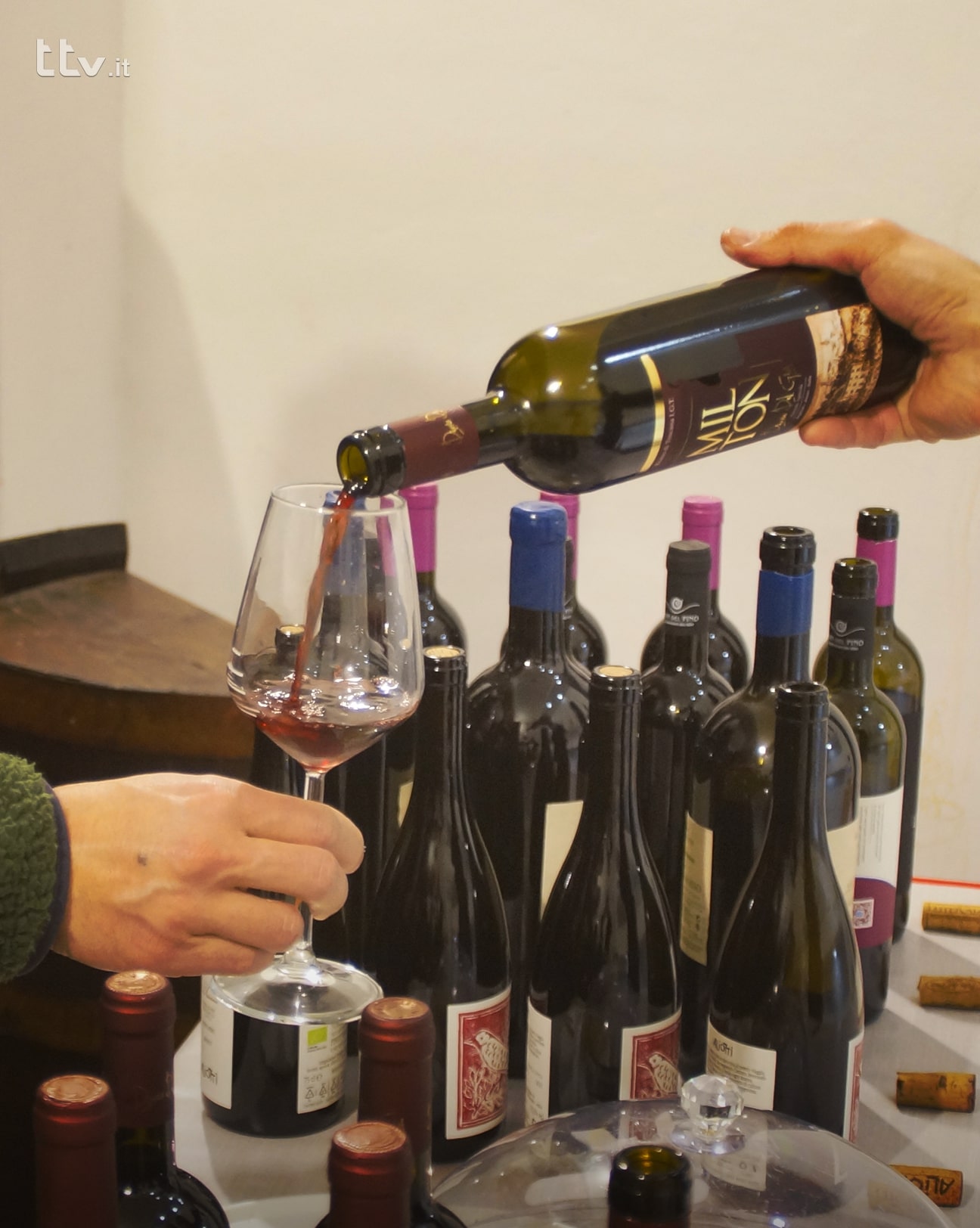 Vinicoli 2025, Anghiari accende i suoi sapori 2 Vinicoli 2025, Anghiari accende i suoi sapori - Eventi | TTV.it