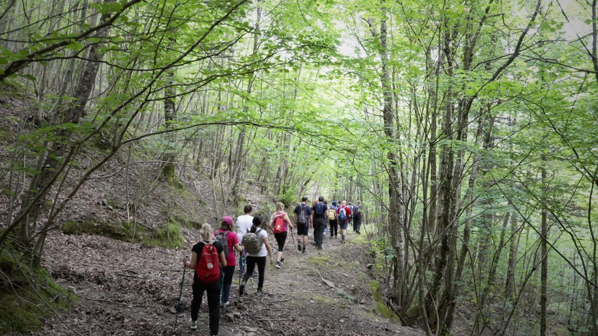 Tra sentieri, idee e comunità: presentata l’edizione 2026 del Festival dei Cammini di Francesco 12 Tra sentieri, idee e comunità: presentata l’edizione 2026 del Festival dei Cammini di Francesco - Festival dei Cammini di Francesco, Eventi | TTV.it