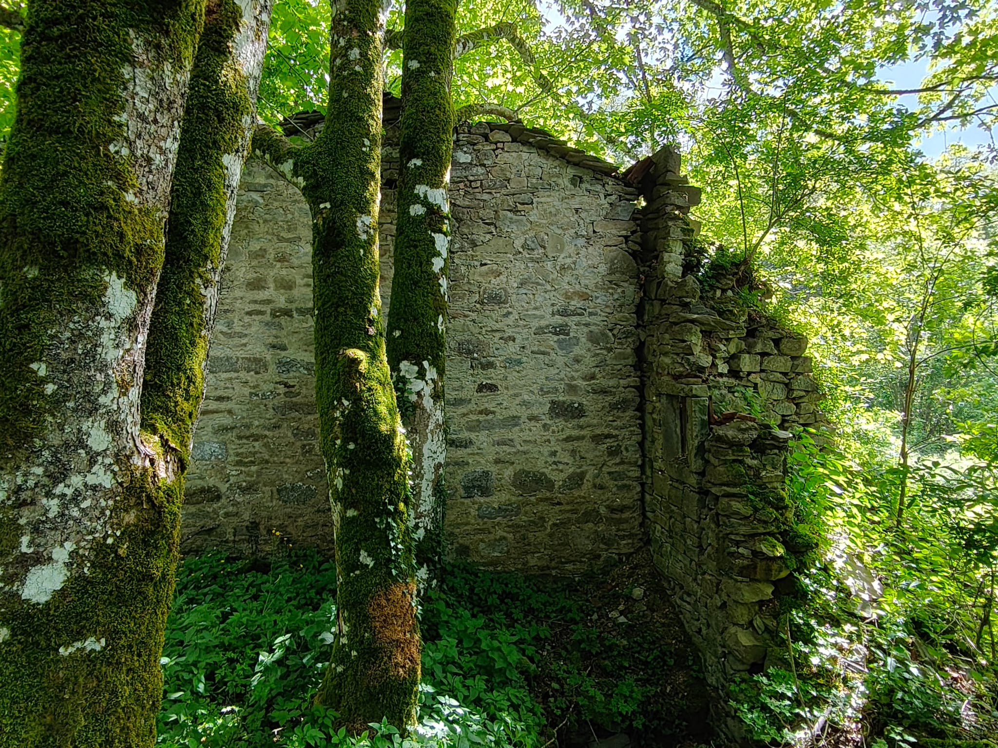 Alla scoperta dei resti del Palazzo dei Monaci, a Badia Tedalda 3 Alla scoperta dei resti del Palazzo dei Monaci, a Badia Tedalda - Storia, Ambiente, Cultura | TTV.it