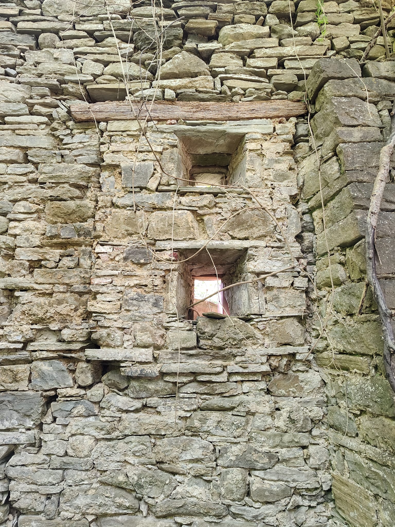 Alla scoperta dei resti del Palazzo dei Monaci, a Badia Tedalda 5 Alla scoperta dei resti del Palazzo dei Monaci, a Badia Tedalda - Storia, Ambiente, Cultura | TTV.it