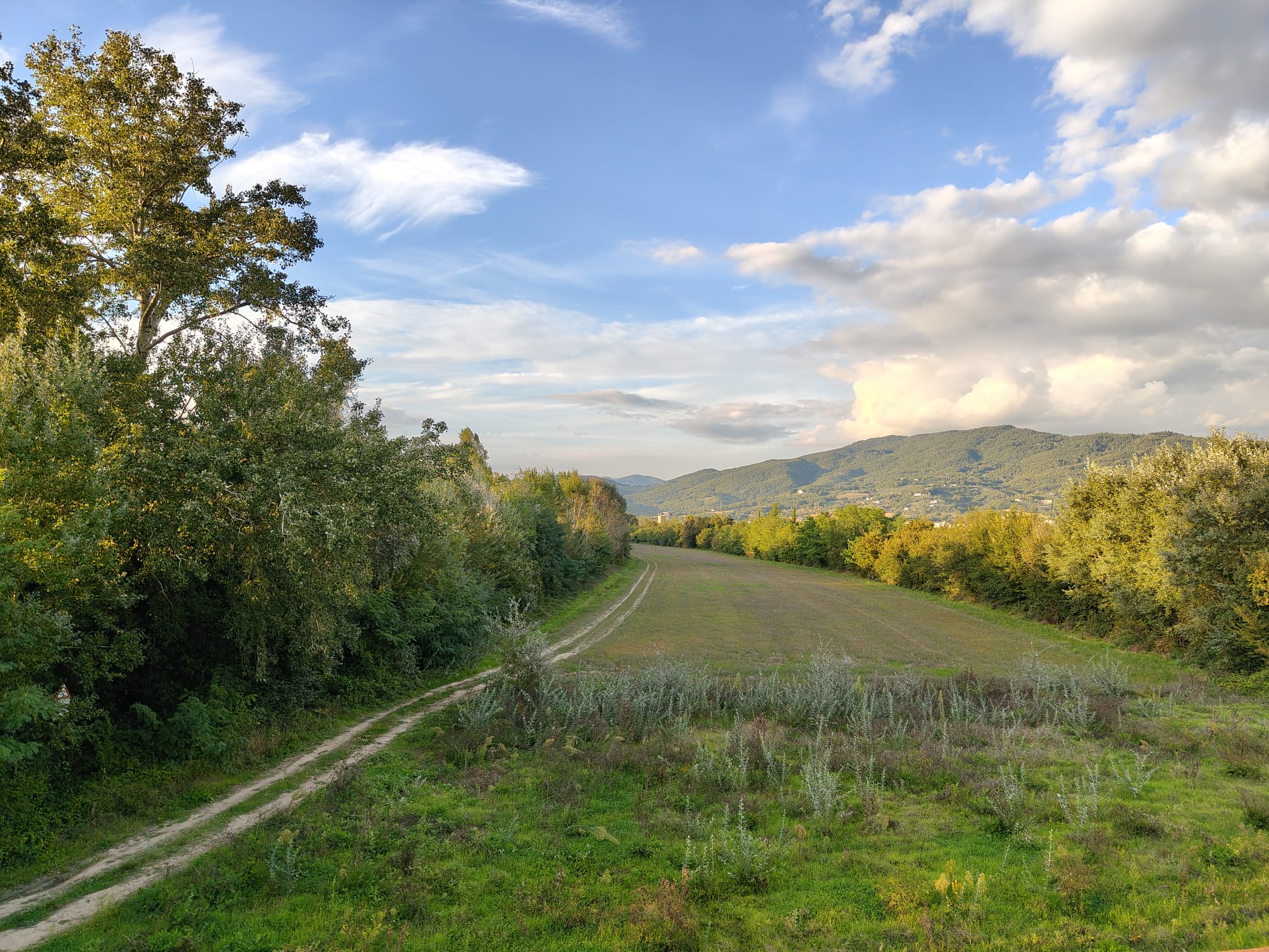 Lungotevere tra Sansepolcro e San Giustino: un’idea concreta per rendere il tratto percorribile - Ambiente, Beni Comuni | TTV.it