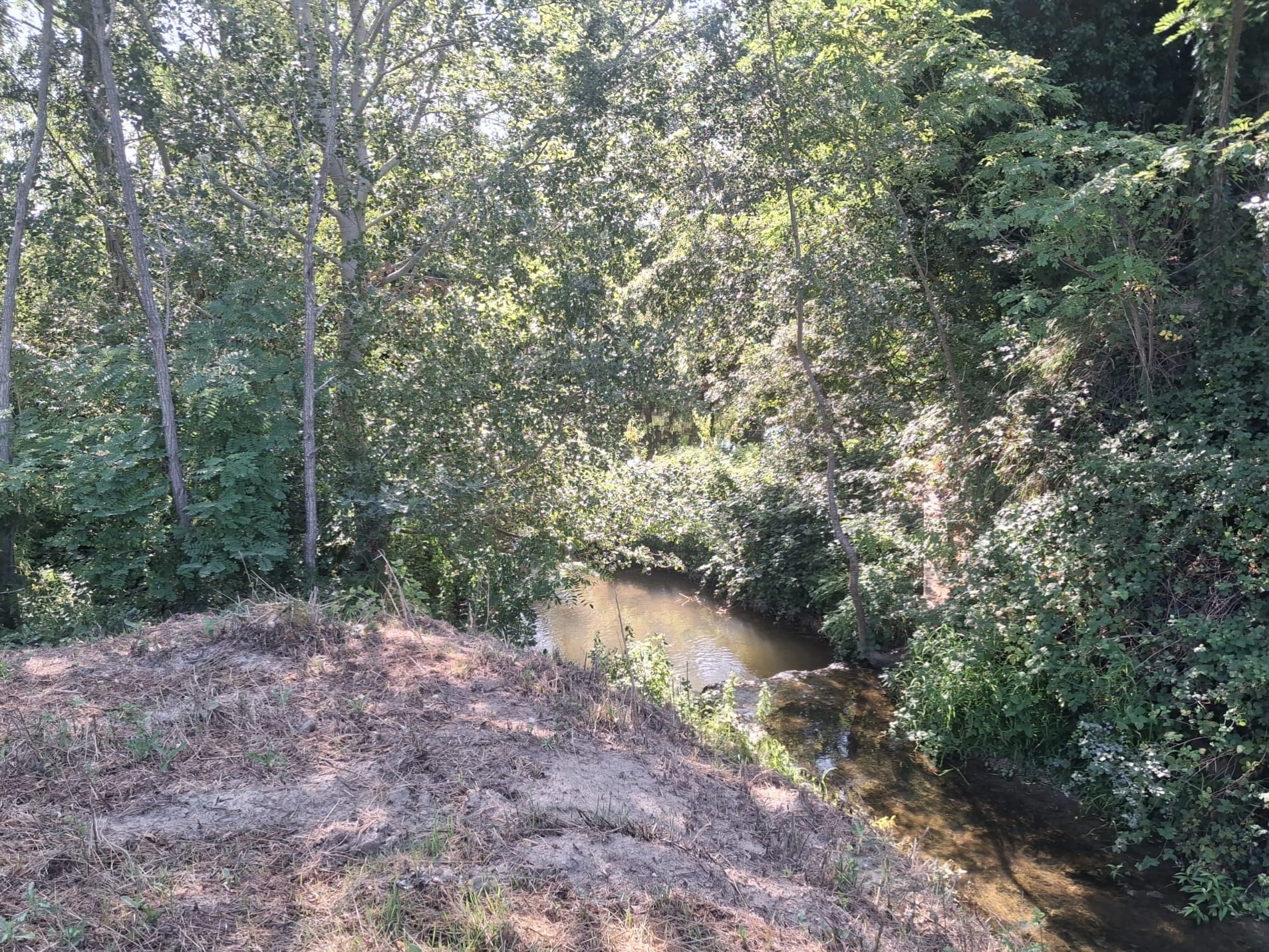 Lungotevere tra Sansepolcro e San Giustino: un’idea concreta per rendere il tratto percorribile - Ambiente, Beni Comuni | TTV.it